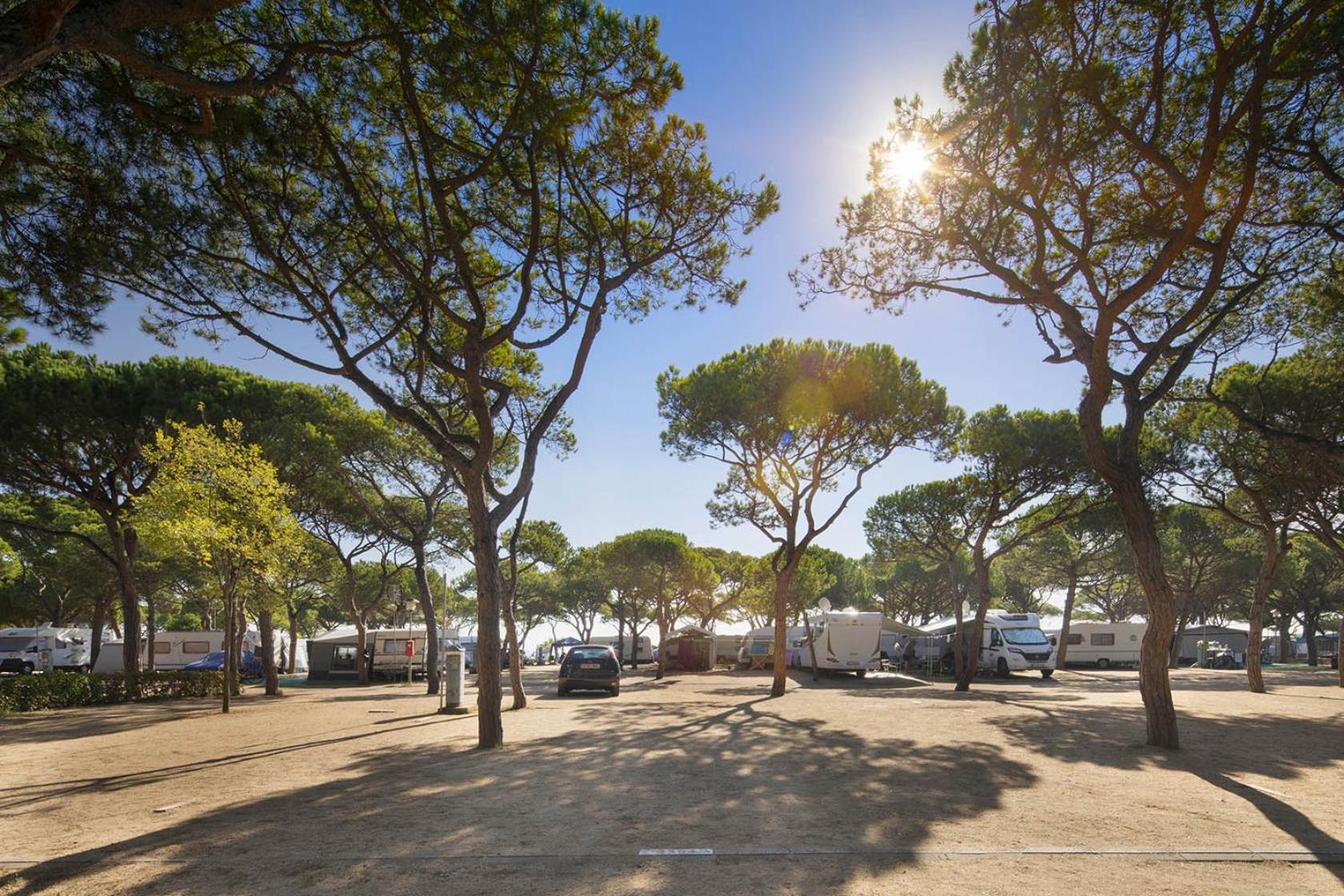 Camping Bella Terra Blanes Buitenkant foto