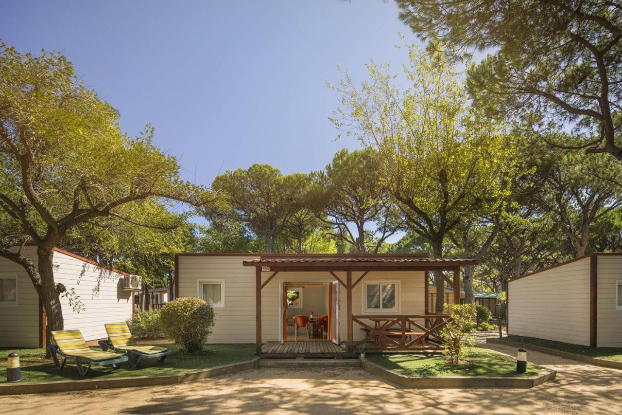 Camping Bella Terra Blanes Buitenkant foto